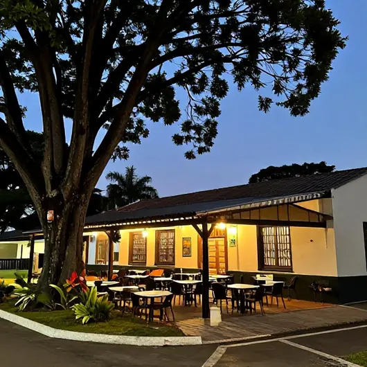 Bendito Bar: O Destino Perfeito para Relaxar Bendito Bar: O Destino Perfeito para Relaxar
