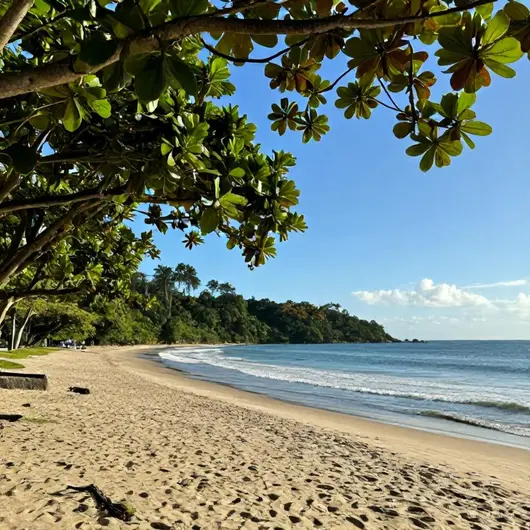 Descubra a Praia de Fora Descubra a Praia de Fora