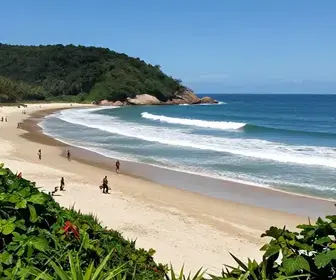 Descubra as Diferenças Entre as Praias de Pinheira em Palhoça Descubra as Diferenças Entre as Praias de Pinheira em Palhoça