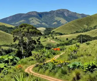 Descubra o Vale da Utopia: Acessos pela Pinheira e Guarda do Embaú Descubra o Vale da Utopia: Acessos pela Pinheira e Guarda do Embaú