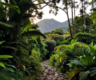 Guia Prático para Planejar Trilhas em Palhoça e Avaliar Acesso