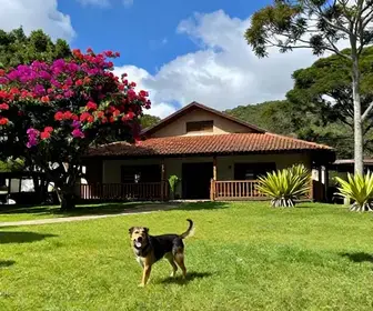 Hospedagens em Palhoça: Onde Ficar com Seu Pet Hospedagens em Palhoça: Onde Ficar com Seu Pet